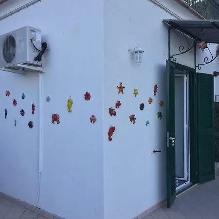 Allegra's Apartment